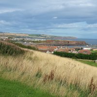 Eyemouth Crop