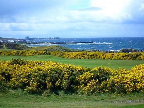 Hopeman 8th May 2005 (4)